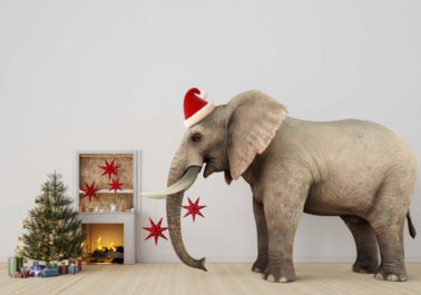 Navidad cabezas elefante