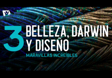 Belleza, Darwin y diseño 3