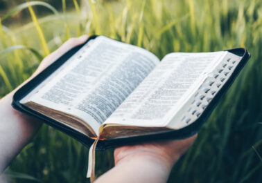 biblia hierva Miqueas