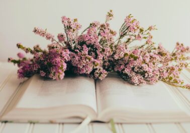 Biblia flores