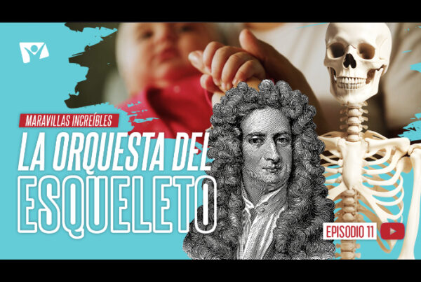 La orquesta del esqueleto