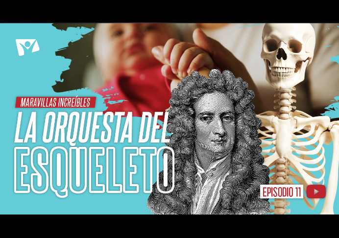 La orquesta del esqueleto – Maravillas Increíbles