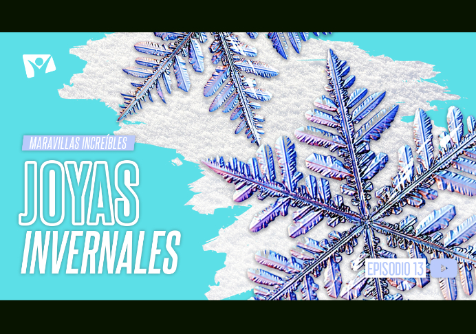 Joyas invernales –  Maravillas increíbles