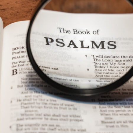 Los Salmos: Encuentros de amor entre el pueblo y Dios