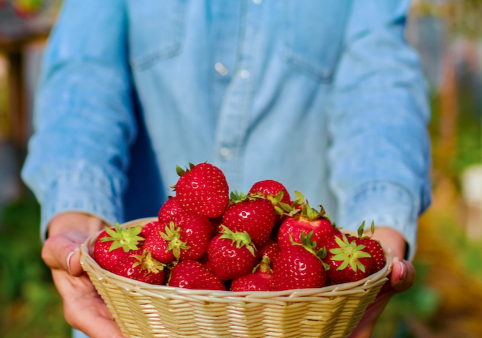 Cómo cosechar la fruta – EGW