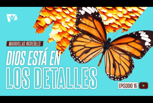 Dios está en los detalles