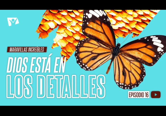 Dios está en los detalles – Maravillas Increíbles