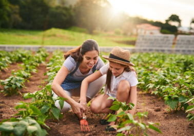 ciudades ciudad al campo huerto niña