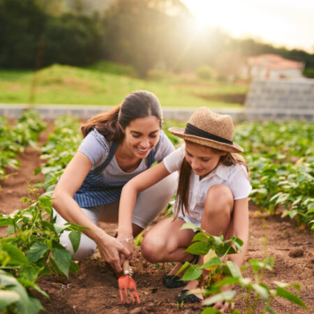 Salir de las grandes ciudades: ¿ahora o cuándo?