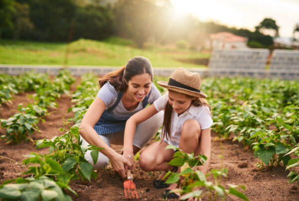 ciudades ciudad al campo huerto niña