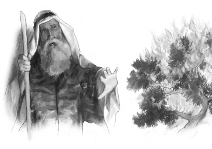 La zarza ardiente – ES