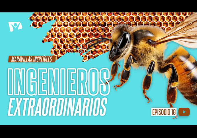 Ingenieros extraordinarios – Maravillas increíbles
