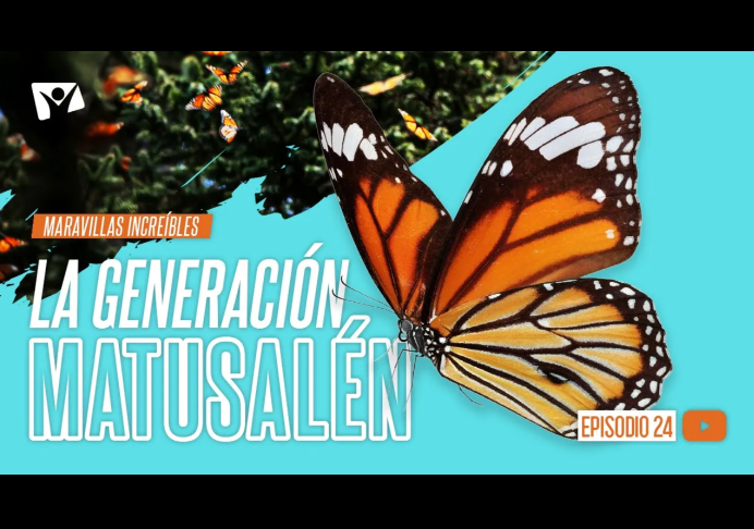 La generación Matusalén – Maravillas Increíbles