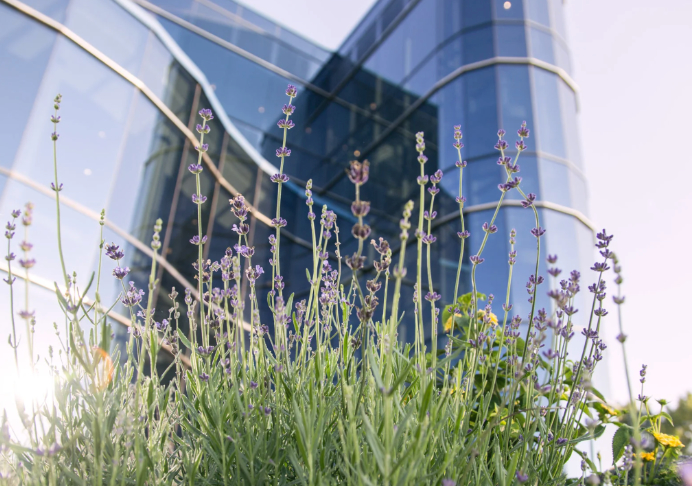 Libertad religiosa y debate sobre descanso dominical en EEUU