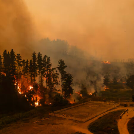 La Iglesia Adventista brinda ayuda a afectados por incendios en Chile