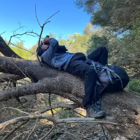 e48ea08e-b353-4037-85b1-85999899da3a