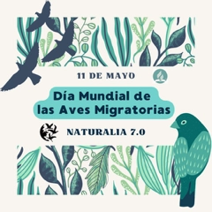 aves migratorias