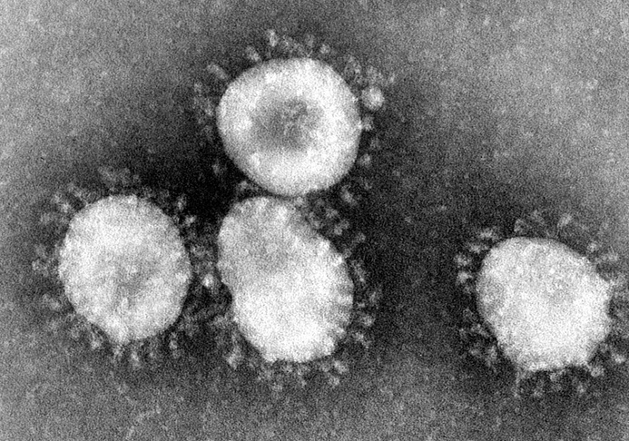 A propósito de la epidemia de coronavirus
