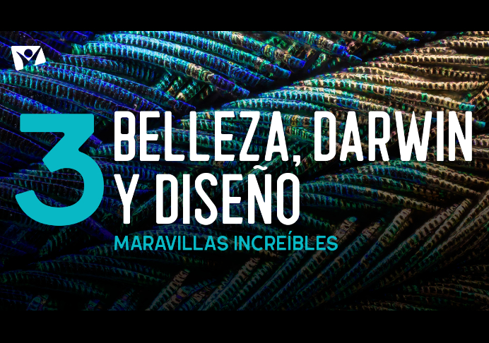 BELLEZA, DARWIN Y DISEÑO – Maravillas Increíbles 3